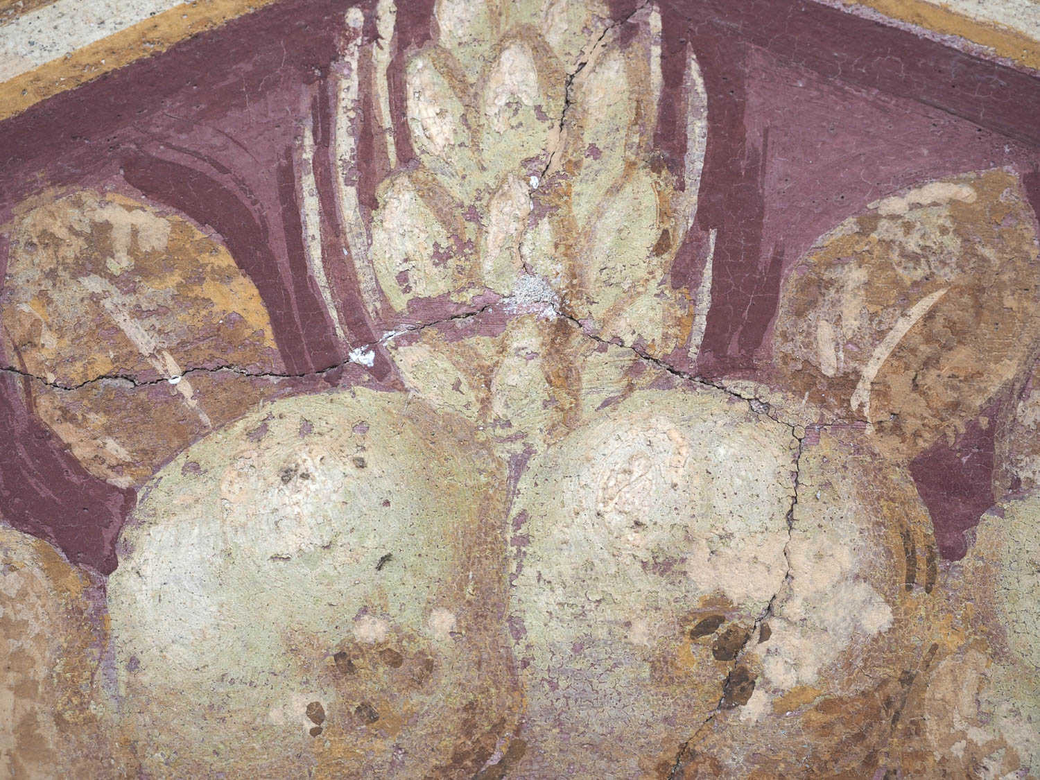 Detail-Malerei-Obst_Voruntersuchung_Kronstorf Detail-Malerei-Obst_Voruntersuchung_Kronstorf