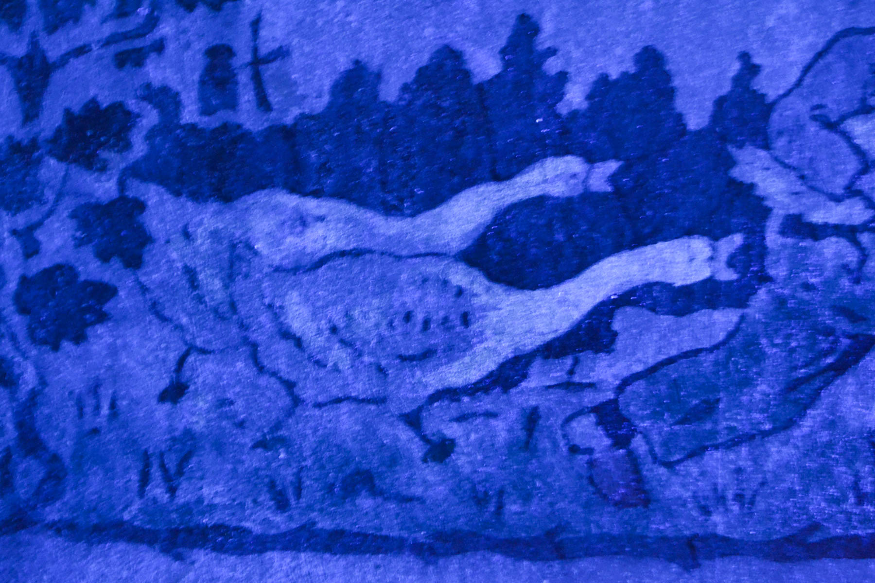 UV_Weißhöhungen Gänse